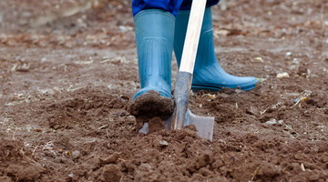 Как правильно копать землю