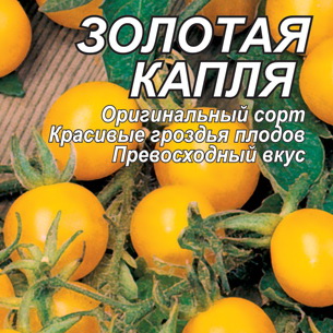 Лучшие сорта помидоров для теплиц и открытого грунта