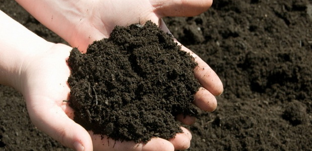 Подготовка почвы для посадки рассады: правильная обработка