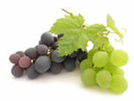 Какой сорт винограда выбрать?