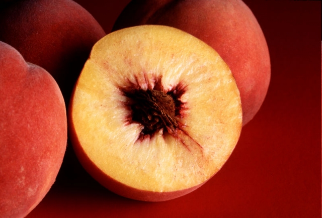 Возможно ли вырастить персик?