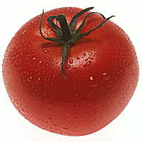 как выращивать этот сорт помидоров