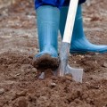 Как правильно копать землю
