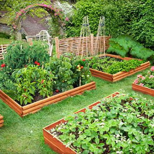 Обработка и правильный уход за почвой в саду