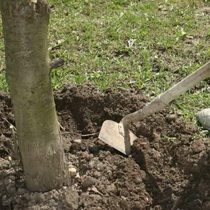 Обработка и правильный уход за почвой в саду