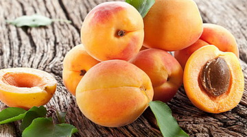 Агротехника выращивания абрикоса: посадка и уход