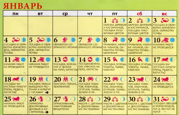 Лунный календарь садовода и огородника на январь 2016 года