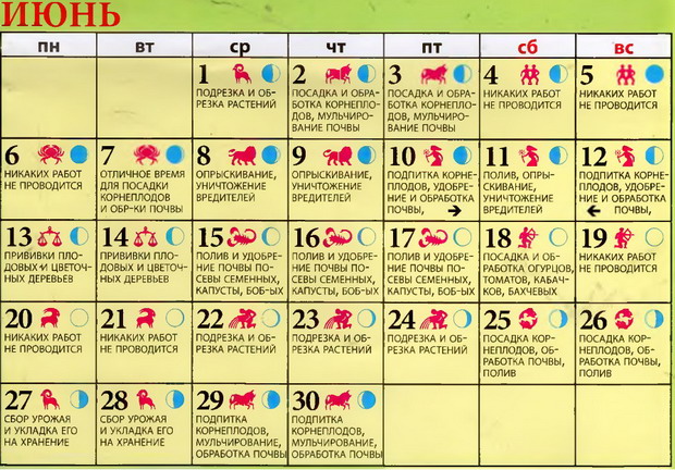 Лунный календарь на июнь 2016 года для садовода и огородника