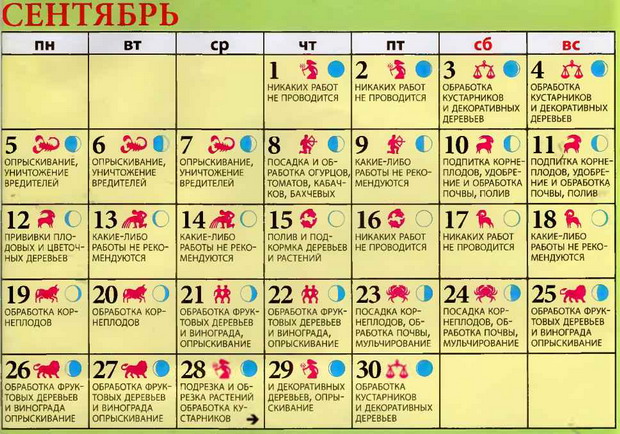 Лунный календарь на сентябрь-2016 для садовода, огородника и цветовода