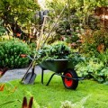 Уход за растениями в саду: обрезка, мульчирование, компостирование