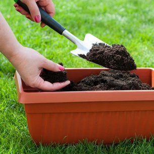 Уход за растениями в саду: обрезка, мульчирование, компостирование