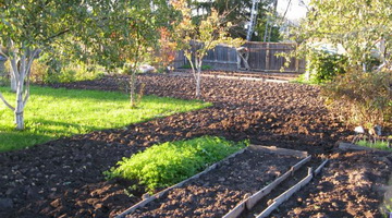 Почвы для сада: механический состав и структура