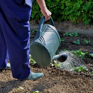 Уход за почвой в саду: основные способы обработки