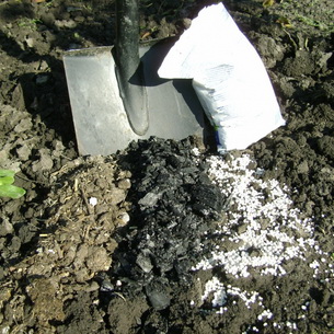 Уход за почвой в саду: основные способы обработки