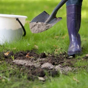 Как разбить сад на участке: подготовка почвы и посадка деревьев