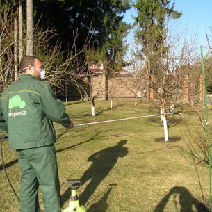 Как разбить сад на участке: подготовка почвы и посадка деревьев