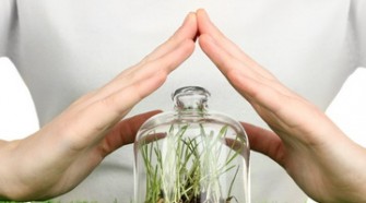 Защита растений от болезней и вредителей различными методами