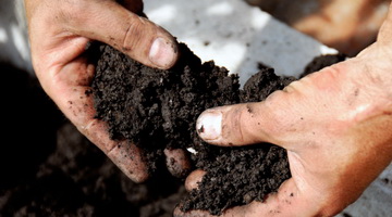 Подготовка почвы для посадки рассады: правильная обработка