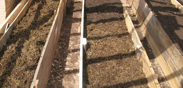 Весенняя подготовка почвы в теплице на даче