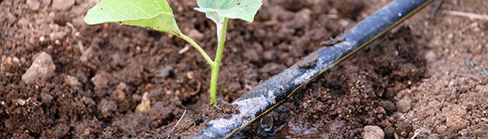 Набор системы капельного полива растений КПК 25 для теплицы и грядки