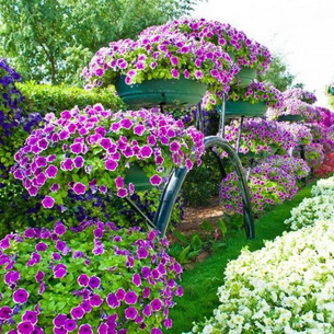 Подбор красивых растений для цветника