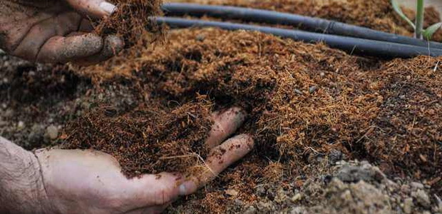 Эффективные способы улучшения плодородности почвы